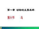 5.1.6  鸟（课件）-2024--2025学年人教版生物八年级上册