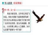 5.1.6  鸟（课件）-2024--2025学年人教版生物八年级上册