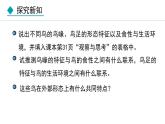 5.1.6  鸟（课件）-2024--2025学年人教版生物八年级上册