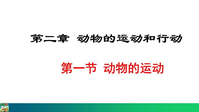 5.2.1  动物的运动（课件）-2024--2025学年人教版生物八年级上册第1页