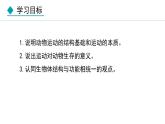 5.2.1  动物的运动（课件）-2024--2025学年人教版生物八年级上册