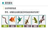 5.2.1  动物的运动（课件）-2024--2025学年人教版生物八年级上册