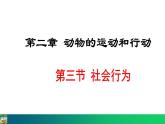 5.2.3  社会行为（课件）-2024--2025学年人教版生物八年级上册