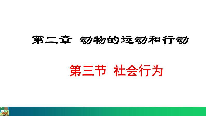 5.2.3  社会行为（课件）-2024--2025学年人教版生物八年级上册第1页