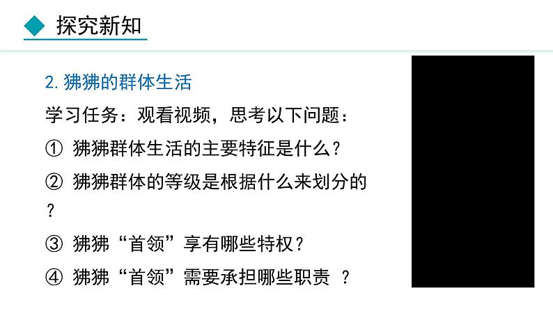 5.2.3  社会行为（课件）-2024--2025学年人教版生物八年级上册第6页