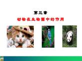 5.3  动物在生物圈中的作用（课件）-2024--2025学年人教版生物八年级上册