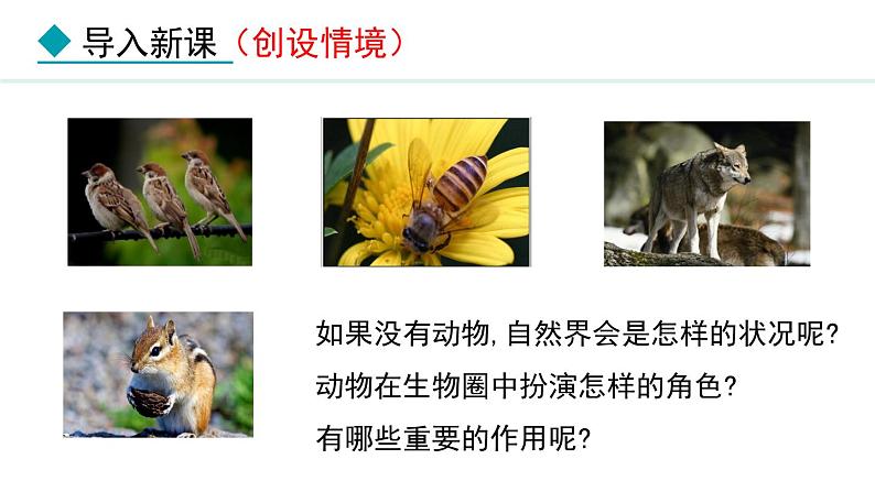 5.3  动物在生物圈中的作用（课件）-2024--2025学年人教版生物八年级上册第3页