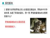 5.3  动物在生物圈中的作用（课件）-2024--2025学年人教版生物八年级上册