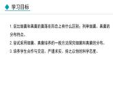 5.4.1  细菌和真菌的分布（课件）-2024--2025学年人教版生物八年级上册