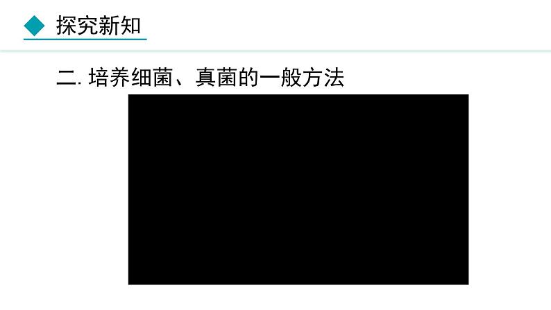 5.4.1  细菌和真菌的分布（课件）-2024--2025学年人教版生物八年级上册第5页