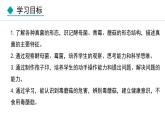 5.4.3  真菌（课件）-2024--2025学年人教版生物八年级上册