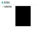 5.4.3  真菌（课件）-2024--2025学年人教版生物八年级上册