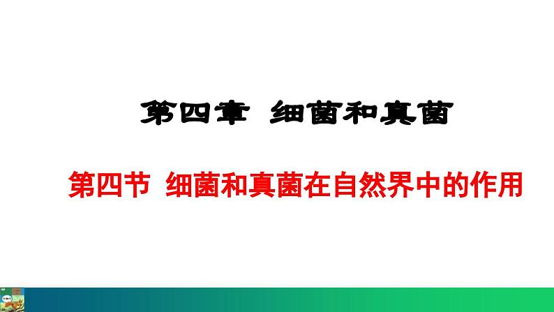 5.4.4  细菌和真菌在自然界中的作用（课件）-2024--2025学年人教版生物八年级上册第1页