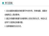 5.4.4  细菌和真菌在自然界中的作用（课件）-2024--2025学年人教版生物八年级上册