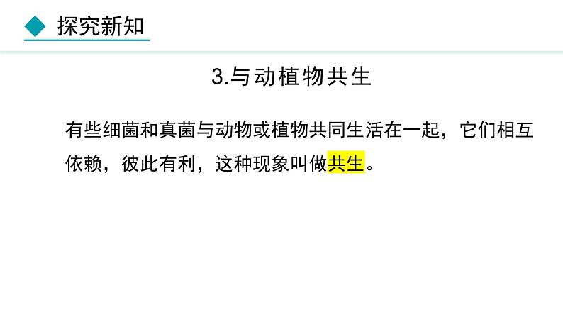 5.4.4  细菌和真菌在自然界中的作用（课件）-2024--2025学年人教版生物八年级上册第8页