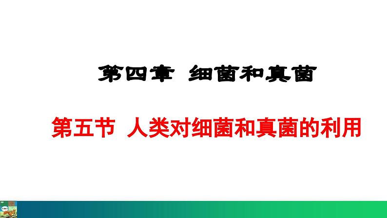 5.4.5  人类对细菌和真菌的利用（课件）-2024--2025学年人教版生物八年级上册第1页