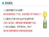 5.4.5  人类对细菌和真菌的利用（课件）-2024--2025学年人教版生物八年级上册