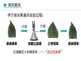 5.5  病毒（课件）-2024--2025学年人教版生物八年级上册