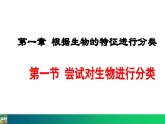 6.1.1  尝试对生物进行分类（课件）-2024--2025学年人教版生物八年级上册