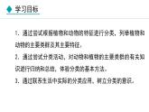 6.1.1  尝试对生物进行分类（课件）-2024--2025学年人教版生物八年级上册