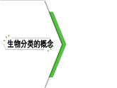 6.1.1  尝试对生物进行分类（课件）-2024--2025学年人教版生物八年级上册