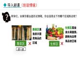 6.1.1  尝试对生物进行分类（课件）-2024--2025学年人教版生物八年级上册