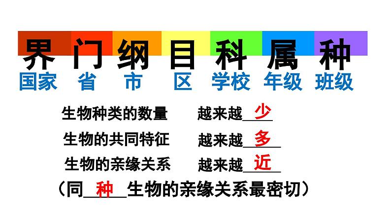 6.1.2  从种到界（课件）-2024--2025学年人教版生物八年级上册04