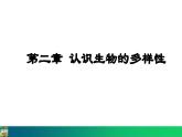 6.2  认识生物的多样性（课件）-2024--2025学年人教版生物八年级上册