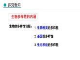 6.2  认识生物的多样性（课件）-2024--2025学年人教版生物八年级上册