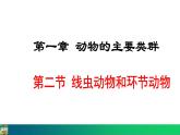 5.1.2  线虫动物和环节动物（课件）-2024--2025学年人教版生物八年级上册