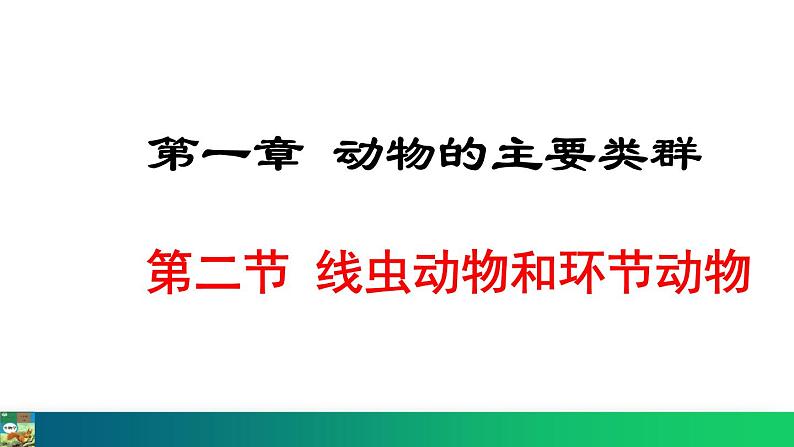 5.1.2  线虫动物和环节动物（课件）-2024--2025学年人教版生物八年级上册第1页