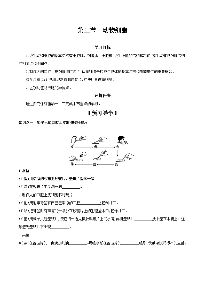 2.1.3 动物细胞 学案（含答案） -生物人教版七年级上册01