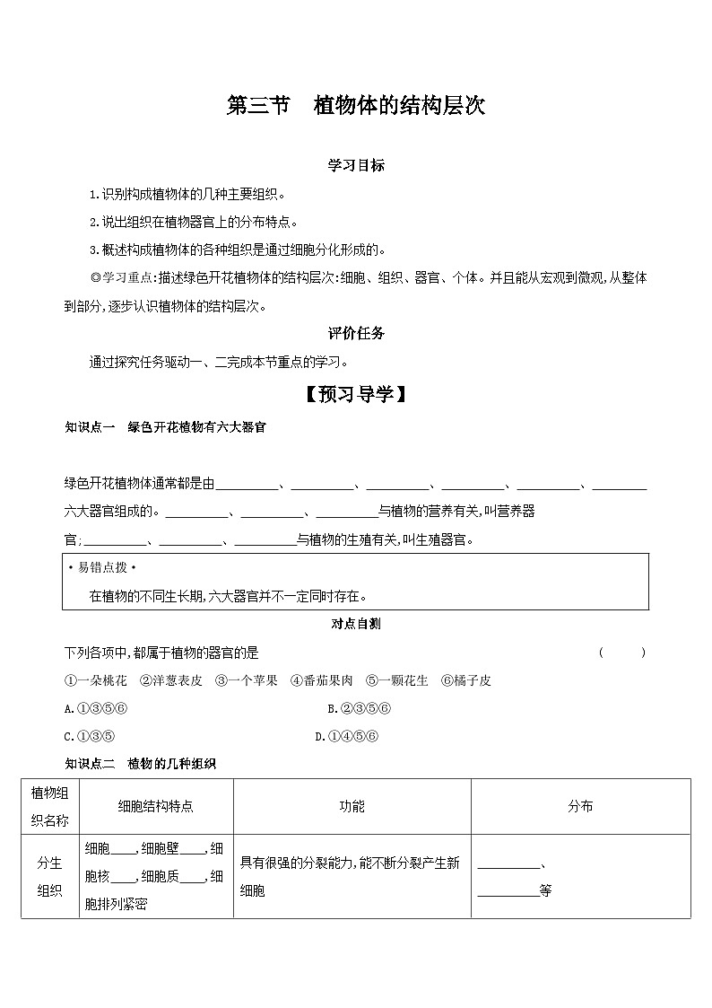 2.2.3 植物体的结构层次 学案（含答案） -生物人教版七年级上册01