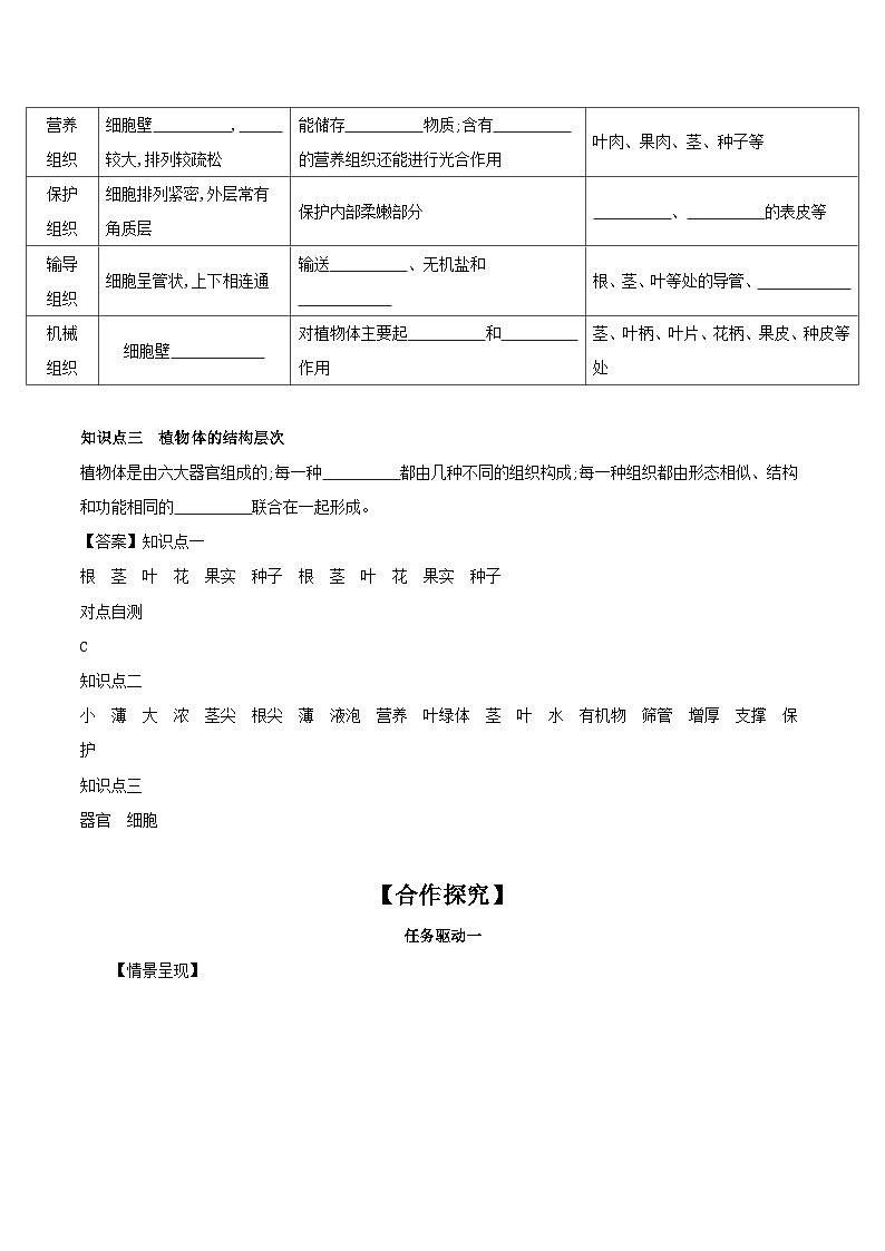 2.2.3 植物体的结构层次 学案（含答案） -生物人教版七年级上册02