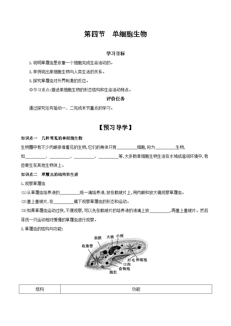 2.2.4 单细胞生物 学案（含答案） -生物人教版七年级上册01