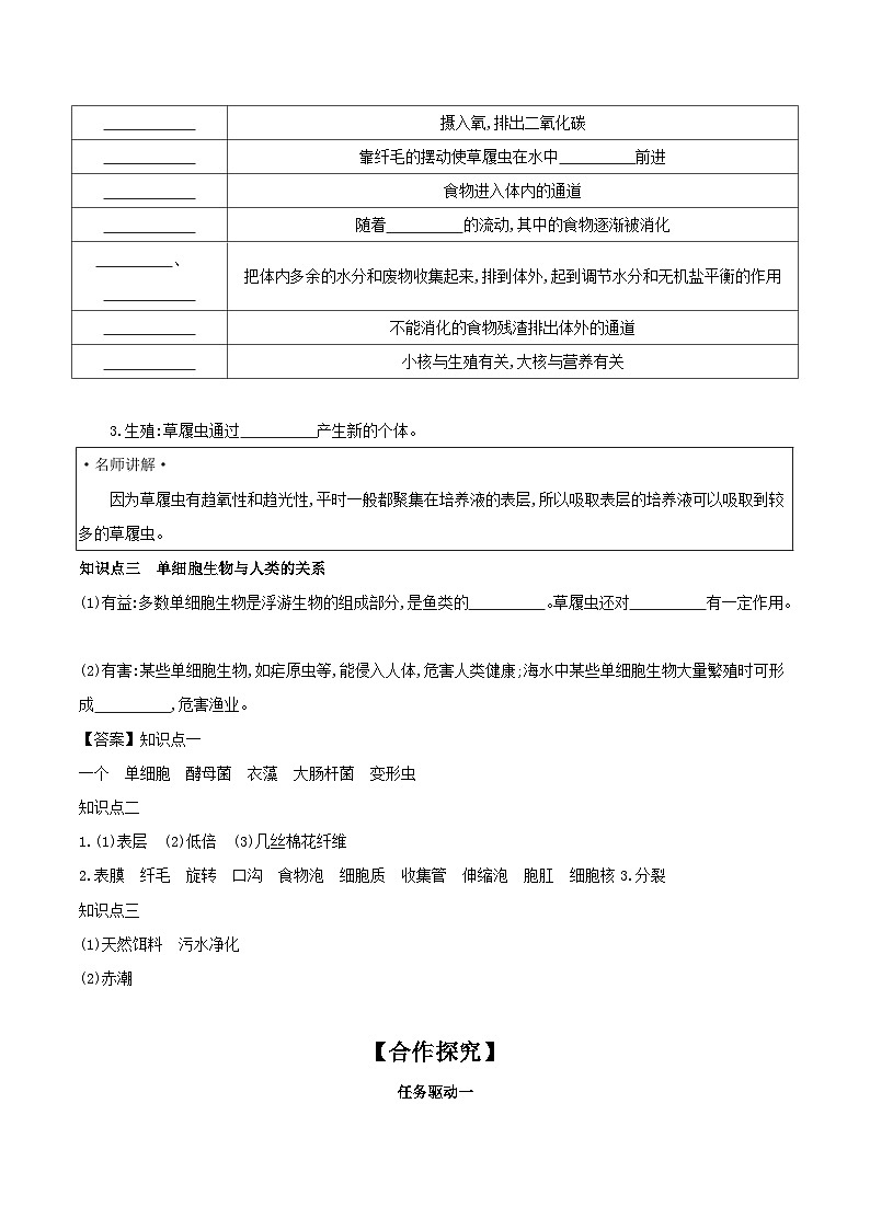 2.2.4 单细胞生物 学案（含答案） -生物人教版七年级上册02