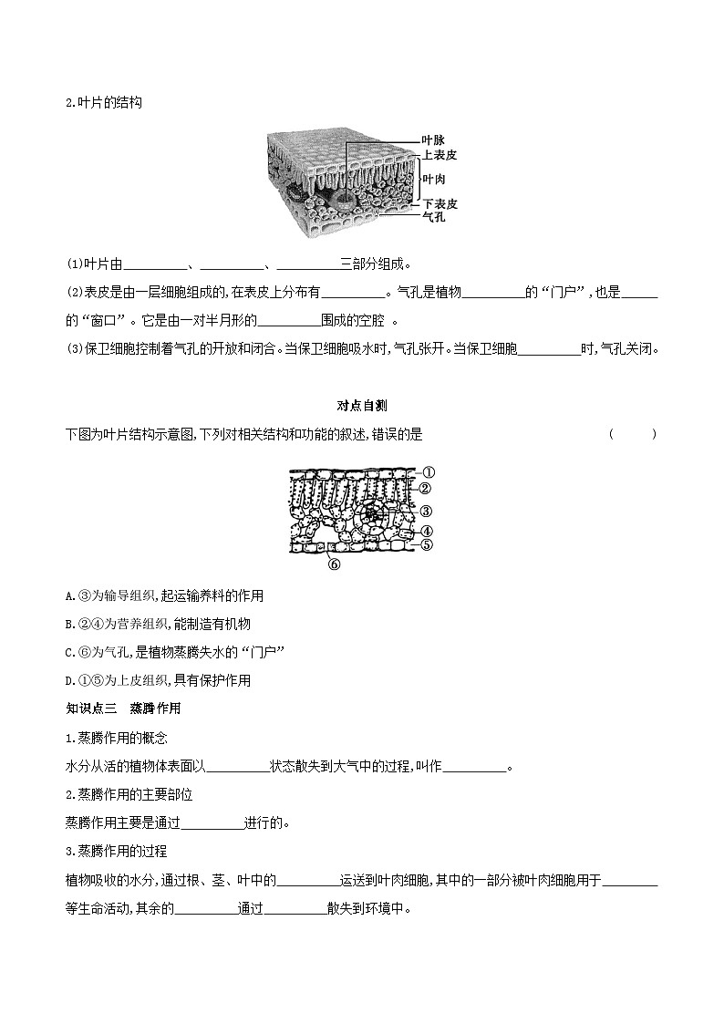 3.3 绿色植物与生物圈的水循环 学案 （含答案）-生物人教版七年级上册02