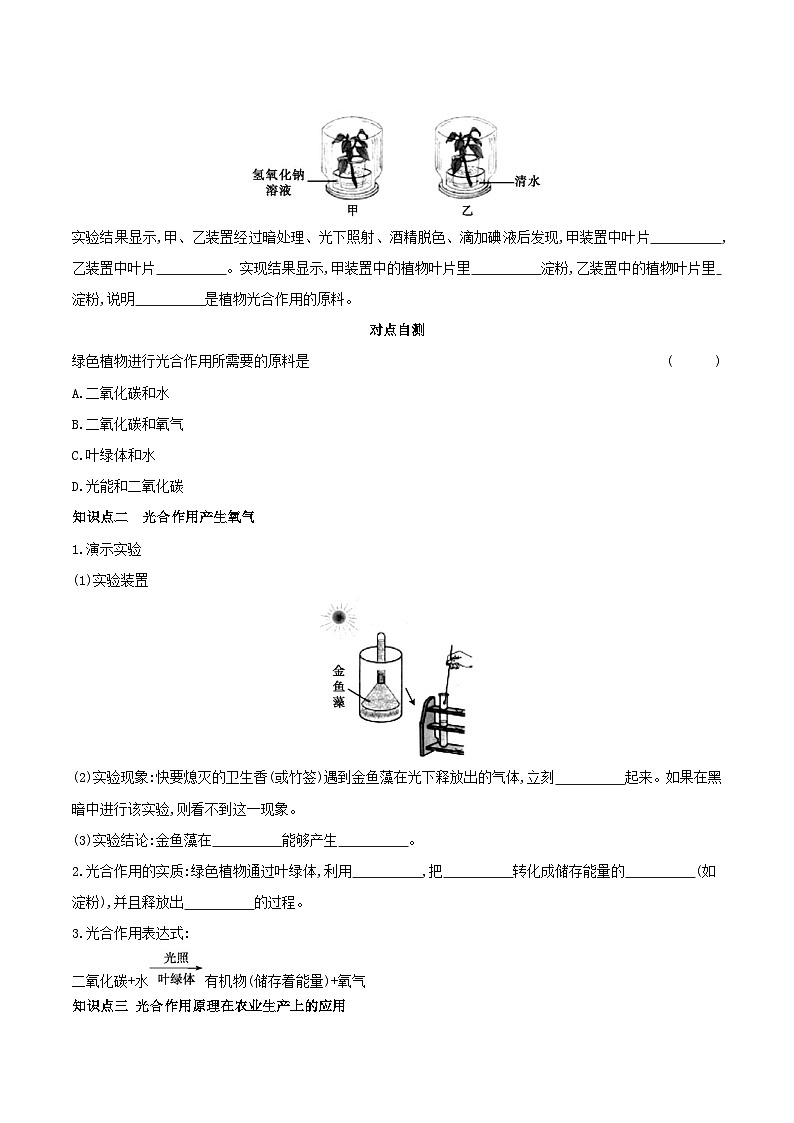3.5.1 光合作用吸收二氧化碳释放氧气 学案 （含答案）-生物人教版七年级上册02