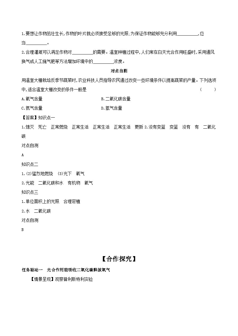 3.5.1 光合作用吸收二氧化碳释放氧气 学案 （含答案）-生物人教版七年级上册03