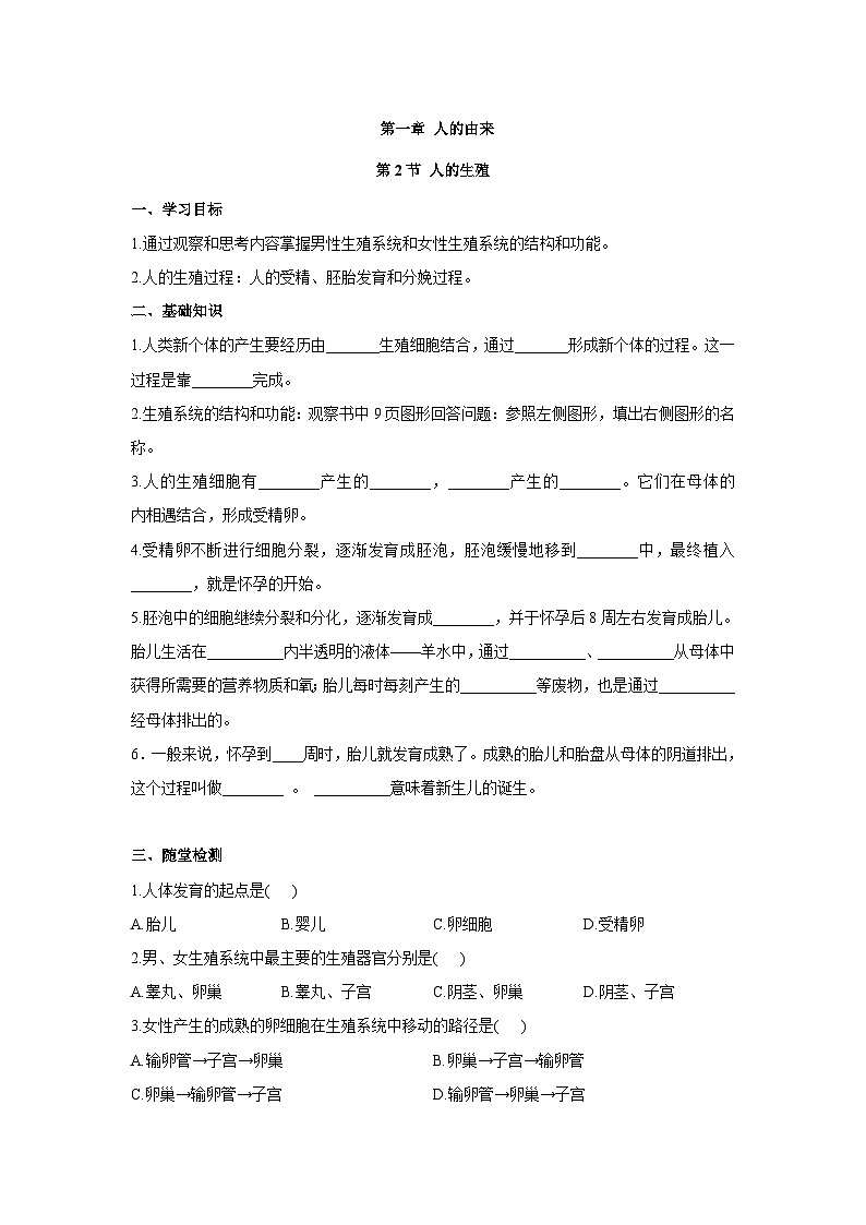 4.1.2人的生殖（学案）-初中生物人教版七年级下册01