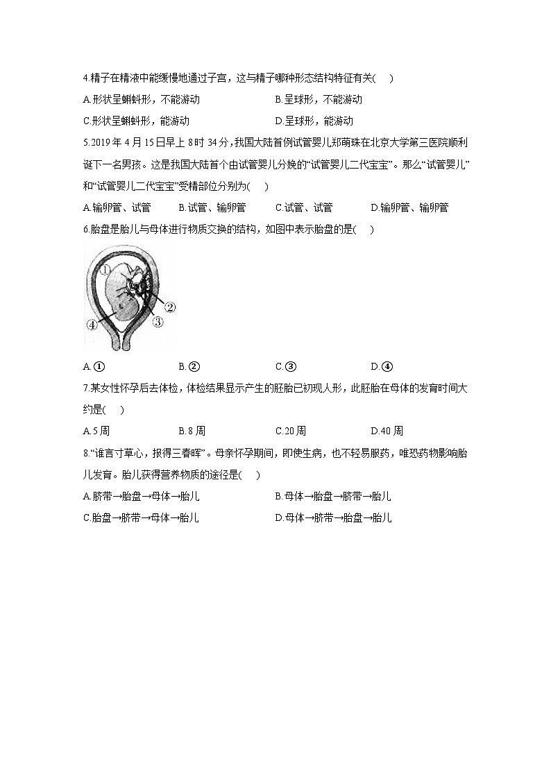 4.1.2人的生殖（学案）-初中生物人教版七年级下册02