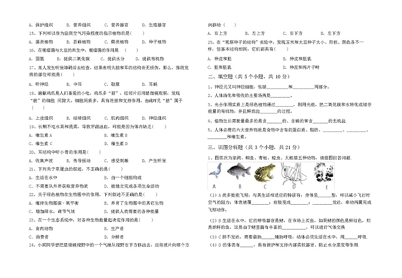 初中七年级生物下册期中考试卷（含答案）第2页