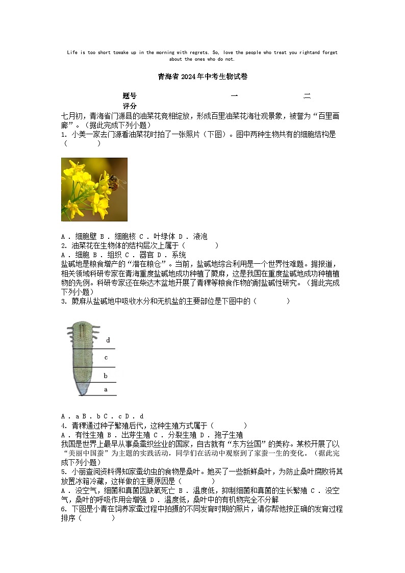 [生物]青海省2024年中考真题生物试卷01