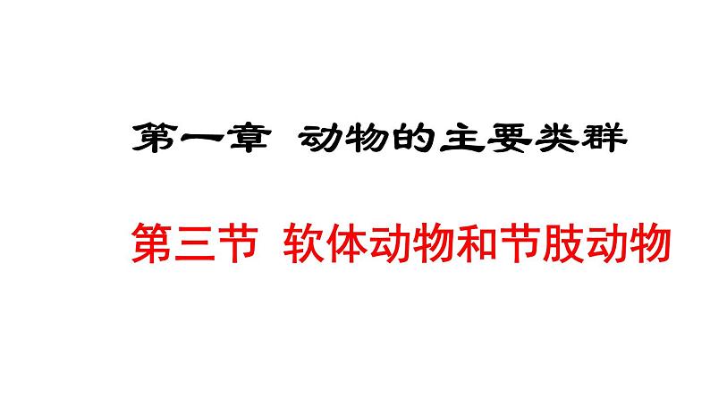 人教版八年级生物上册课件 5.1.3  软体动物和节肢动物第1页