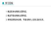 人教版八年级生物上册课件 5.1.3  软体动物和节肢动物