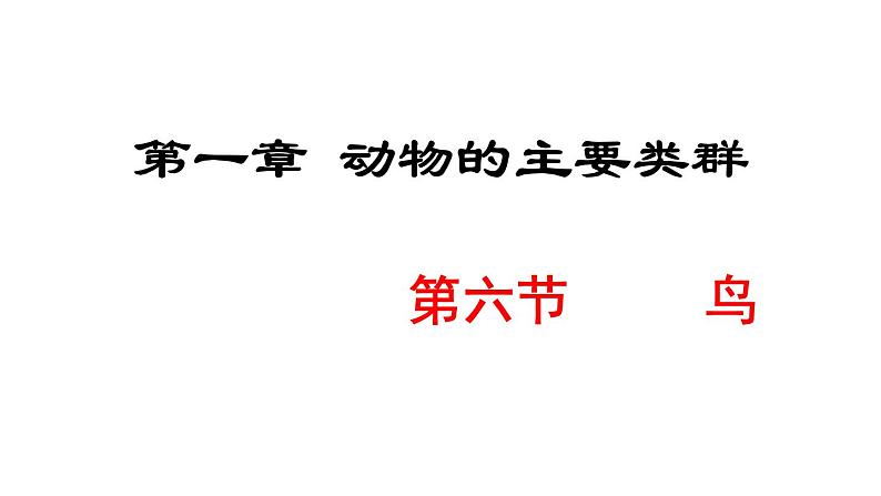 人教版八年级生物上册课件 5.1.6  鸟01