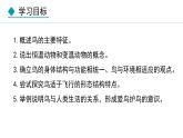 人教版八年级生物上册课件 5.1.6  鸟
