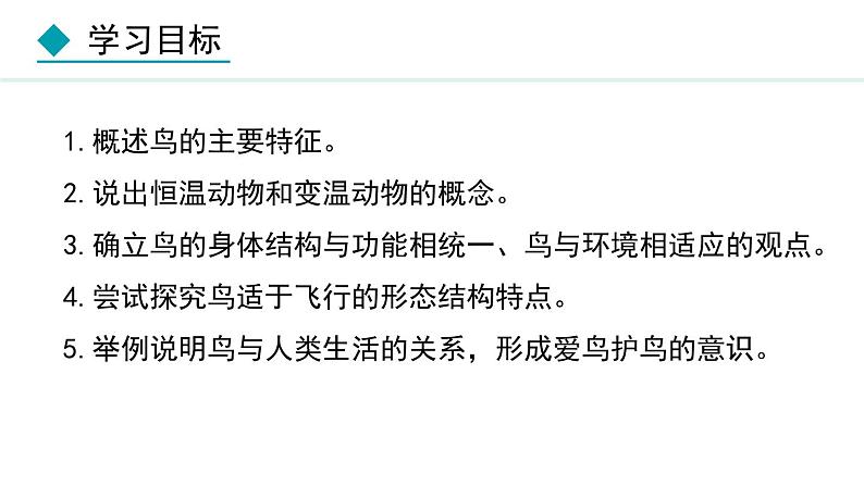 人教版八年级生物上册课件 5.1.6  鸟02