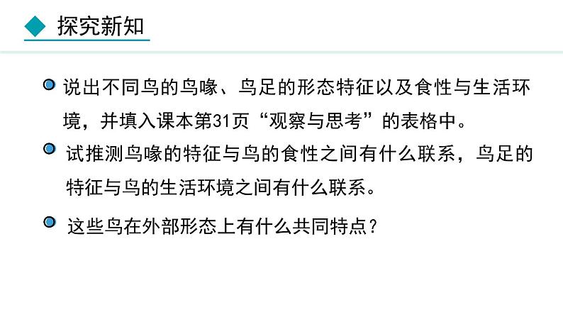 人教版八年级生物上册课件 5.1.6  鸟05