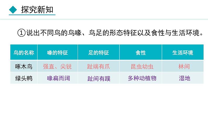 人教版八年级生物上册课件 5.1.6  鸟07